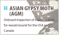 Asian Gypsy Moth(AGM)